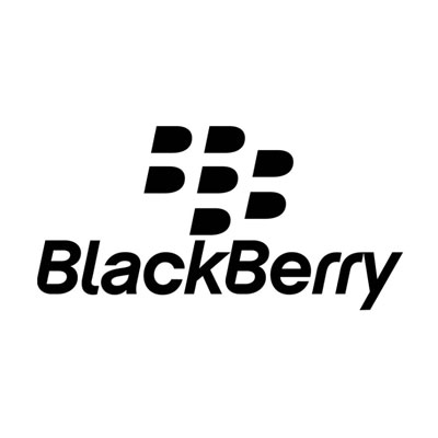 Image of BlackBerry Evolve